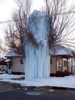 FrozenTree2.jpg