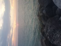 image5.JPG