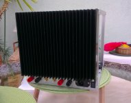 100W CFA case1.jpg