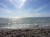 VeniceBeach_x.jpg