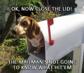 wiener postman.jpg