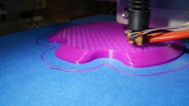 20160516_130050.jpg