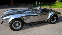 polish cobra.jpg