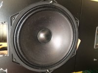 PHLstor.JPG