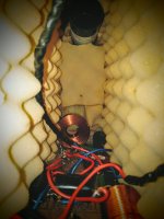 IMG_20160221_113909-2.jpg