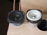 IMG_1392.jpg