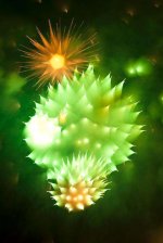 OutofFocusfireworks.jpg