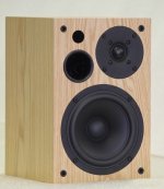 AVI DM10 Active Speaker.JPG