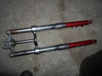 image.jpeg