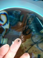 Zoom of the component.jpg