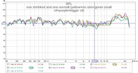 one shrinked and one normall (yellow=on axis+green small cil+purple=bigger cil).jpg