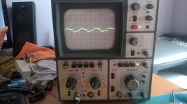 WP_20160518_006.jpg