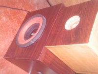 IMAG0503.JPG