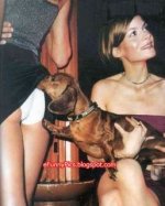 Dachshund up Skirt.jpg