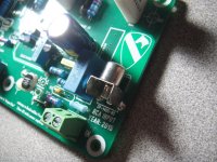 RCA input.jpg