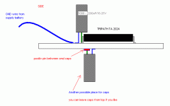 tamp2.gif