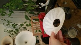 20160401_231203.jpg