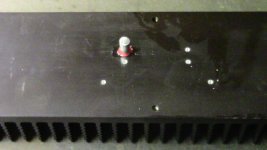 Aluminum Pin in.JPG