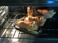 IMG_1511.jpg