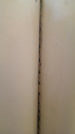 IMAG0119.jpg