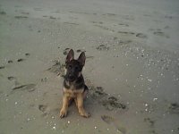Cesar-110516.jpg