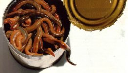 can of worms.jpg