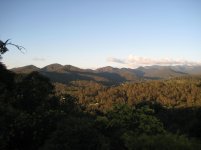 IMG_0770.jpg