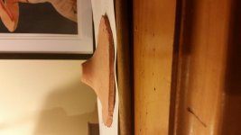 IMG_20160324_065000.jpg