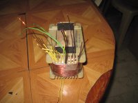 IMG_7331.JPG