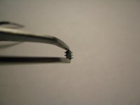 IMG_4289.JPG