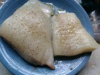 IMG_20160507_185027.jpg