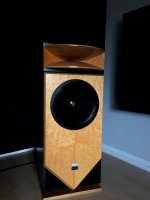 focal greenwall IMG_0110.jpg
