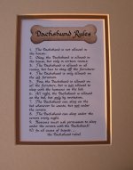 Dachshunds_Rule[1].JPG