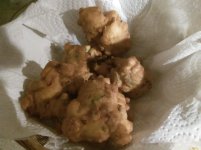 IMG_20160508_205522.jpg