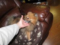 IMG_2505.jpg