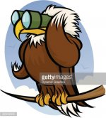 Eagle with Binoculars.jpg