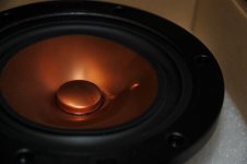 DSC_3130.JPG