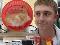 hamster-300x225.jpg