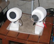 IMG_3618_cr.jpg