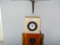TB-W5 2143.jpg
