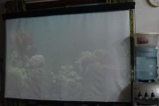 dsc01010.jpg