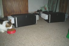 dsc01017a.jpg