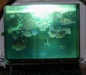 image on lcd.jpg