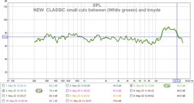 NEW  CLASSIC small cuts between (White greeen) and insyde.jpg
