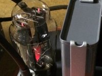 IMG_7920.jpg