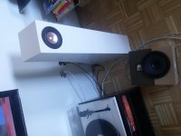 IMG_20160729_160045.jpg