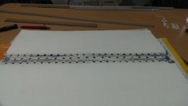 IMAG0098.jpg