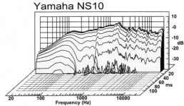 ns10.png