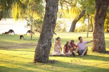 Yanchep_OtherMammals_Family_20110504_3-lpr.jpg