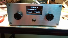 Willow II Born 2.jpg